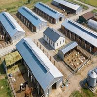 Structure en acier pour écurie de chevaux et abri pour bétail, conception industrielle, poulailler et utilisation agricole, robuste pour l'extérieur