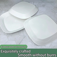 Vaisselle jetable au design moderne de 9 pouces, assiettes compostables biodégradables personnalisées pour les fêtes d'anniversaire