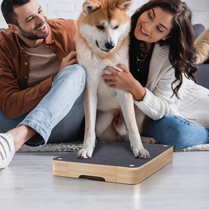 Tabla rascadora de uñas única para perros, juguete limador de uñas para todos los perros - Product Image 3