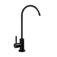 Robinet purificateur d'eau en acier inoxydable 304, col de cygne, levier unique, système RO, double sortie, eau potable, cuisine, chrome noir mat