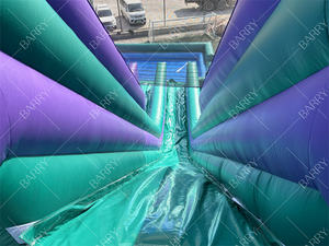 <span class=keywords><strong>Toboggan</strong></span> aquatique géant commercial pour fêtes, <span class=keywords><strong>toboggan</strong></span> aquatique <span class=keywords><strong>gonflable</strong></span> pas cher pour adultes avec piscine, <span class=keywords><strong>toboggan</strong></span> <span class=keywords><strong>gonflable</strong></span> - Product Image 6