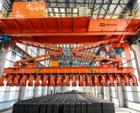 Nouvelle Conception Grue à Double Poutre à Anode Carbone pour Empilage, Capacité de Levage 5, 10, 20 Tonnes, pour Usine Industrielle de Carbone