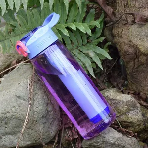 Biologisch abbaubare tragbare Luft reiniger Wasser filtration Bpa Free Straw Filter Wasser flasche mit Infuser Filter