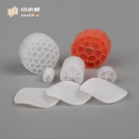 BioChip Bio Filtre Média