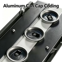 Chestny Znak GS1 DataMatrix Code UV-lasermarkeringsmachine voor koolzuurhoudende frisdrank aluminium blikjes, één artikel, één code, traceerbaarheid