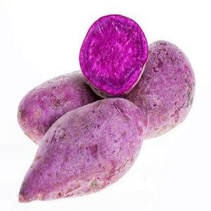 OEM/ODM Wholesale Natural Extract Purple Sweet <b>Potato</b> Powder Solanum Tuberdsm Powder Frozen Dried - Product Image 2
