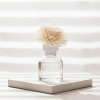 Bouteilles de diffuseur à roseaux en verre ambré transparent rondes de 100 ml, personnalisées, de luxe, vides, avec bouchon à vis, sérigraphiées, finition mate, pour la décoration intérieure