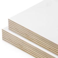 Haute qualité première classe 4x8ft bouleau couleur contreplaqué Construction vanité salle de bain armoire dalle bassin E0 formaldéhyde feu