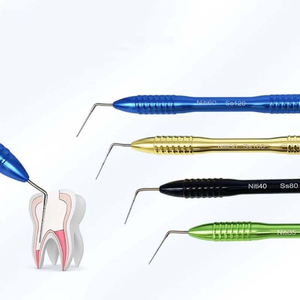 DETL BF-FiN Hot Sale Elektrische Tandheelkundige Instrumenten Nikkel Titanium Naald Endodontische Handplugger Gutta Percha Vuller Wortelkanaalbehandeling - Product Image 5