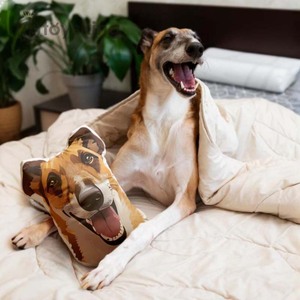 Oreiller personnalisé pour animaux <span class=keywords><strong>de</strong></span> compagnie avec photo <span class=keywords><strong>de</strong></span> votre animal, oreiller en <span class=keywords><strong>forme</strong></span> <span class=keywords><strong>de</strong></span> chat ou <span class=keywords><strong>de</strong></span> <span class=keywords><strong>chien</strong></span>, nouvelle collection en promotion, oreiller personnalisé en <span class=keywords><strong>forme</strong></span> <span class=keywords><strong>de</strong></span> chat ou <span class=keywords><strong>de</strong></span> <span class=keywords><strong>chien</strong></span>, <span class=keywords><strong>coussin</strong></span> personnalisé pour animaux <span class=keywords><strong>de</strong></span> compagnie - Product Image 5