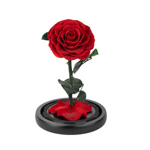 Rose éternelle en gros, cadeau de la Saint-Valentin, rose rouge conservée dans un dôme en verre, cadeau de rose éternelle réelle, tige de rose éternelle - Product Image 6