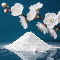Approvisionnement direct en usine de chaux d'oxyde de calcium de qualité alimentaire pour les coagulants et déshydratants