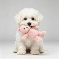 Peluche chien mignon tenant un petit ours, Golden Retriever, Corgi, Shiba, Husky, jouet en peluche pour enfants, cadeau