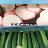 Fabrieksdirecte verkoop hoogwaardige commerciële fruit- en groente-vriesdrooginstallatie (lyofilisator)