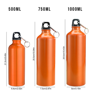 Tùy Chỉnh Thân Thiện Với Môi 500Ml 750Ml 1000Ml Kim Loại Thể Thao Dưới Nước Chai PC Rò Rỉ Bằng Chứng Du Lịch Nhôm Cho Cắm Trại Uống Cá Nhân - Product Image 2