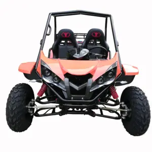 Professional Manufacture Cheap racing 200cc Buggy Go Karts For Sale
