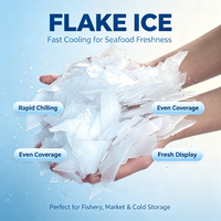 Machine à glace en flocons commerciale automatique de 200 kg/jour avec certification CE, pour la transformation alimentaire, les marchés de poissons, les hôtels