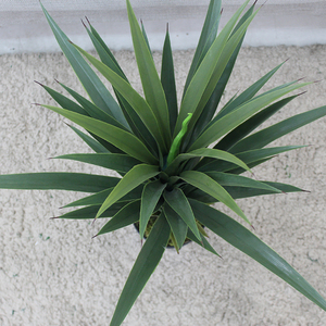 Alberi di Yucca Artificiali in Plastica con <span class=keywords><strong>Foglie</strong></span> Realistiche, Vaso Alto 90cm, Albero Artificiale Ecologico di Alta Qualità per Casa <span class=keywords><strong>e</strong></span> Ufficio - Product Image 5