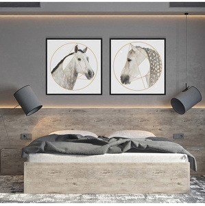 Dipinto Astratto Moderno e Semplice con Fascino Geometrico a Testa di Cavallo per Hotel, Soggiorno, Camera <span class=keywords><strong>da</strong></span> Letto, <span class=keywords><strong>Cucina</strong></span> - Product Image 6