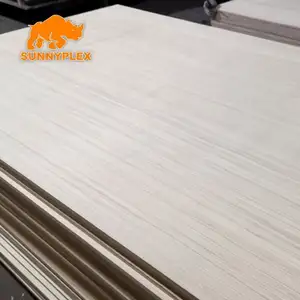 Pizhou Plywood Sheets Sunnyplex
