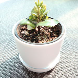 Pot de fleurs en plastique OEM Plafarm n° 4 marron, auto-arrosant, irrigation par le bas, pour intérieur, extérieur, balcon, jardin, JWPL0037 - Product Image 4