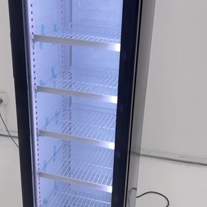 Frigorifero Verticale Personalizzato Byron di Alta Gamma con Porta in Vetro, Accetta Logo Personalizzato, Refrigeratore per Negozi di Convenienza - Product Image 4