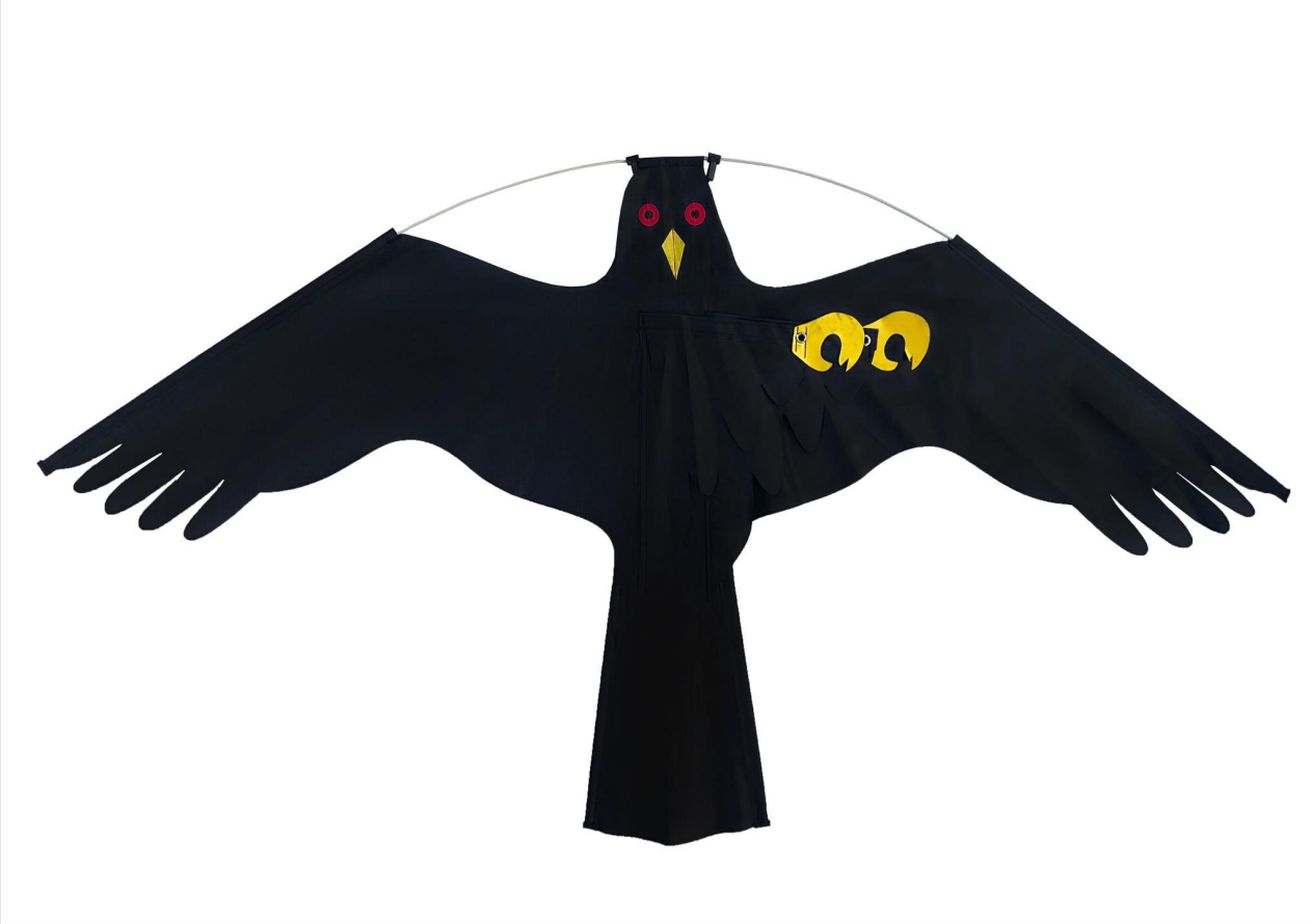 Style Black Bird Yellow Claw (style cerf-volant unique)