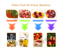 Oem Multifunctionele Palmoliepersmachine Automatische Palmfruitverwerkingsmachine Palmolieraffinaderij