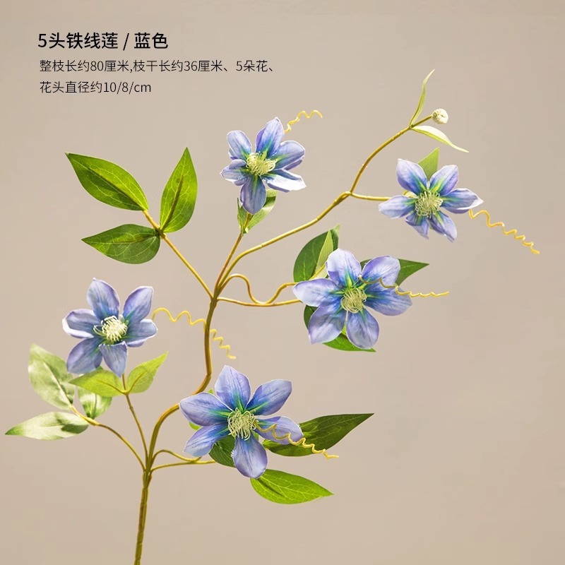 ดอกคลีมาทิสสีน้ำเงิน