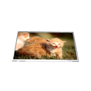 จอแสดงผล LCD เทคโนโลยีขั้นสูง B116AW02 V0ขนาด11.6นิ้วแผงหน้าจอ TFT LCD ความละเอียด1024*600 - Product Image 1