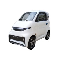 Yunlong Motors L6e EEC aprobado 4 ruedas coche eléctrico cabina Scooter para adultos Mini coche para adultos hecho en China