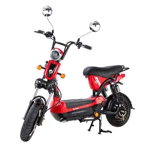 Best Selling Fashion 2 Wheel Dual Motor 48v Chopper Off Road Electric Bike Ebike