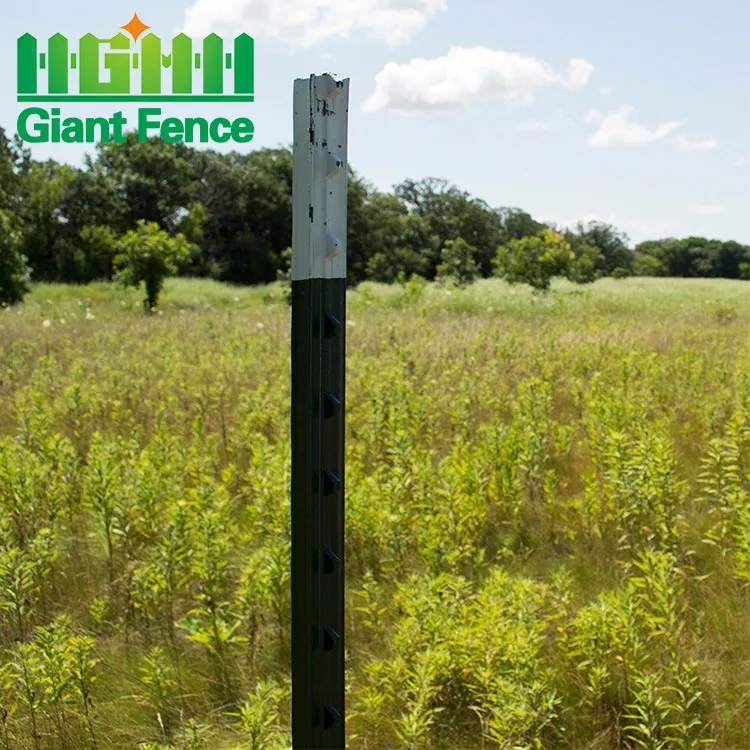 אמריקאי פלדה המשובץ T גדר הודעה 10 ft מגולוון גדר הודעה עבור החווה