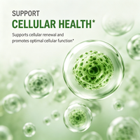 Capsules de Spermidine Marque Blanche 120 Unités Sans Gluten Concentration à 99% 100x Plus Puissant Extrait de Germe de Blé Antioxydant