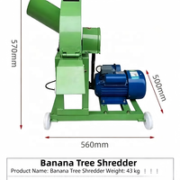 Nouvelle machine électrique à broyer, hacher et écraser les tiges de bananiers et plantains, haute productivité, en fonte