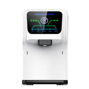 Tankless LED TDS Display Instant Hot Ro Pure Drinking Alkaline Rich Hydrogen Water Machine