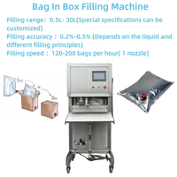 Machine de remplissage semi-automatique personnalisée 3L pour boissons, huiles, vins et lait de coco en Bag-in-Box (BIB)