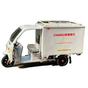 Chang li Asie chargement lourd tricycle électrique 800W chargeur lourd e pousse-pousse tuk tuk à vendre