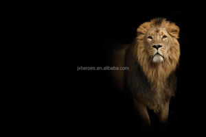 Majestic Lion Tiger Design Salon Chambre <span class=keywords><strong>Studio</strong></span> Papier Peint Mural Décoratif <span class=keywords><strong>3D</strong></span> - Product Image 5