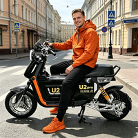 Motocicleta Eléctrica de Turismo DY-FREE 3000W >80km/h 60V/72V Batería LiFePO4 de 70Ah Neumático Grueso Ultra Resistente al Frío para Rusia