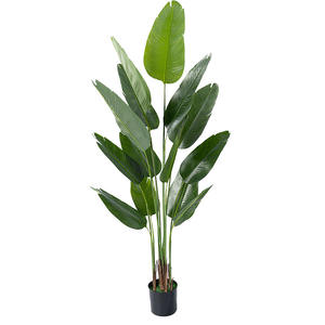 <span class=keywords><strong>Plante</strong></span> Artificielle du Voyageur Banane <span class=keywords><strong>Canna</strong></span> Feuilles Épaissie Pot Plancher <span class=keywords><strong>Plante</strong></span> Verte-149 - Product Image 2
