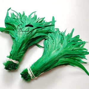 Vente en gros 144 couleurs 20-45cm plumes de queues de coq naturelles chinoises teintes pour coiffure de montage de mouches Costume de carnaval déco - Product Image 6