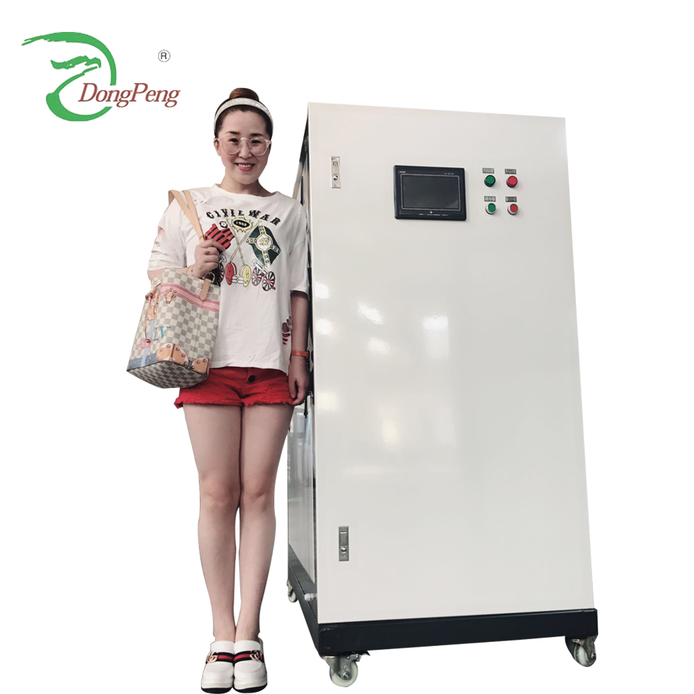 Dongpeng Brand Portable High Purity Nitrogen Gas Generator for Fabric Featuring PLC and Motor Core Components