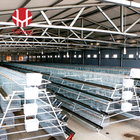 Système d'alimentation automatique pour poussins en cage de couvaison de type A pour projet agricole, équipement avicole commercial pour poulaillers – Fournisseur