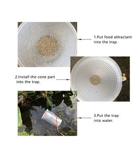 軟体動物食品の魅力GranulifususKiranus植物由来中国の漢方薬 - Product Image 6