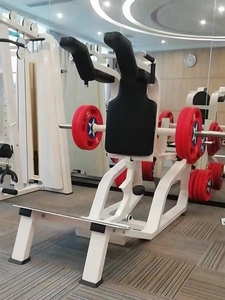 เครื่องออกกำลังกายกล้ามเนื้อแกนกลางรุ่นพรีเมียมของฟรีแมน เครื่องแฮ็คสควอทแบบวางแผ่นน้ำหนักสำหรับใช้งานเชิงพาณิชย์ - Product Image 2