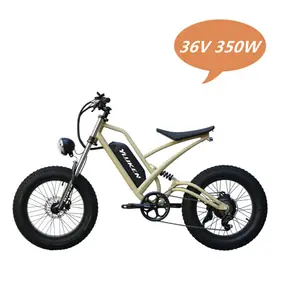 48V 36V 500 750 1000W 15/20ah Batería Bicicleta eléctrica personalizada Fat Bike Fat Ebike Fatbike Bicicleta eléctrica multifuncional Fat Tire