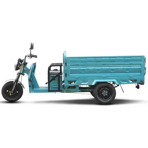 Frachtfach elektrische Dreiräder 3-Rad-Elektro-Laderabfahrt Rückenbox ausgestattet mit automatischem Heben hydraulische Stange