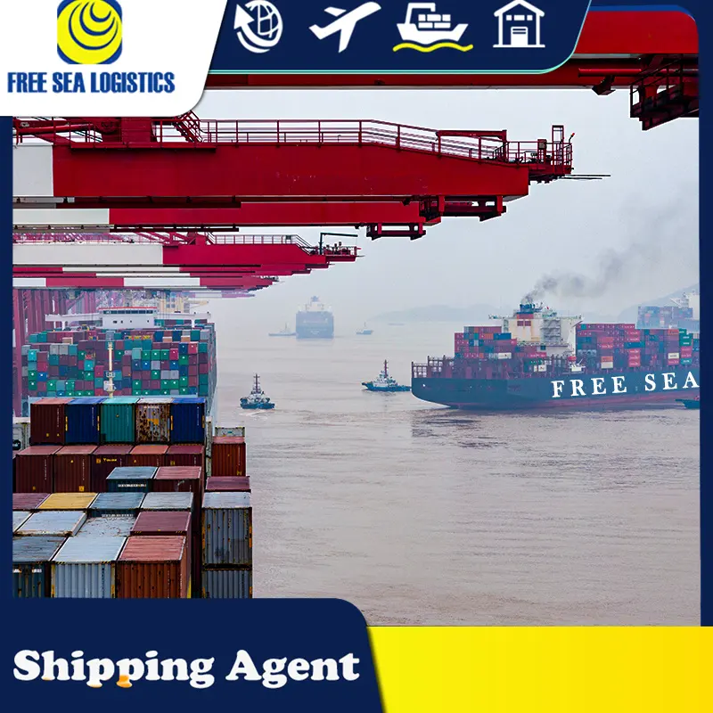 FCL LCL морские грузовые перевозки из Китая по всему миру