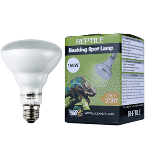 Lámpara de Calor Halógena UVA en Oferta <span class=keywords><strong>para</strong></span> Anfibios y <span class=keywords><strong>Reptiles</strong></span>, Luces de Plástico <span class=keywords><strong>para</strong></span> Mascotas, Productos <span class=keywords><strong>para</strong></span> <span class=keywords><strong>Reptiles</strong></span> - Product Image 6
